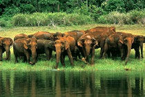 Taj Garden Retreat